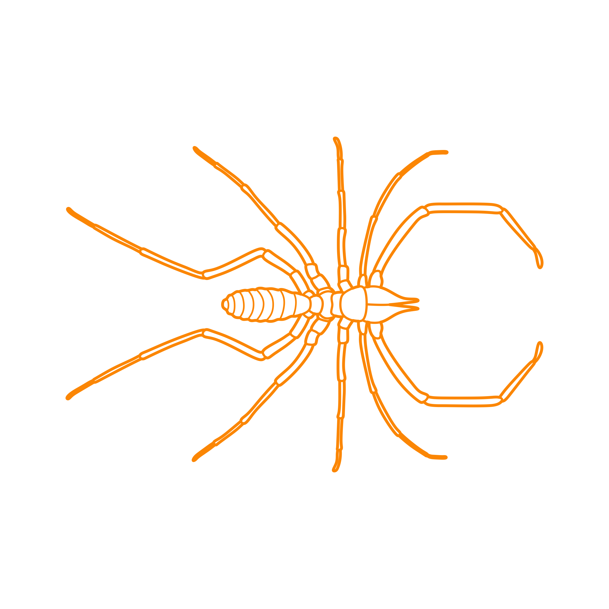 Animals Arachnids Camel Spider Laser Cut Svg File Free Vectors